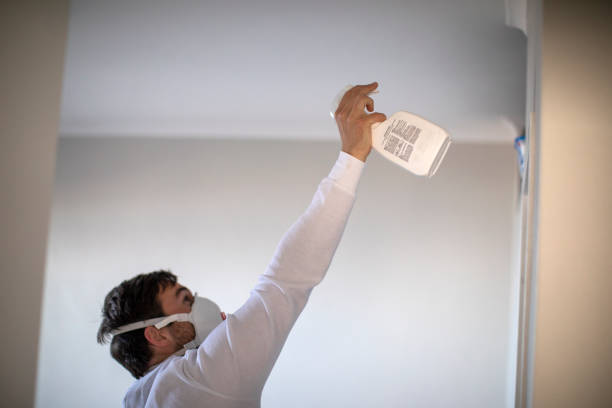 Best Commercial Mold Remediation in Candlewick Lake, IL