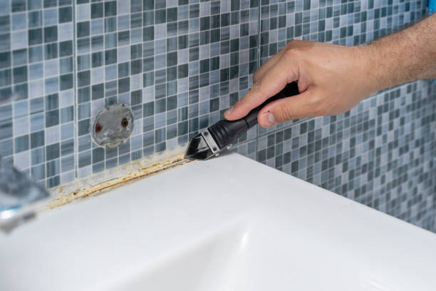Best Preventive Mold Services in Candlewick Lake, IL