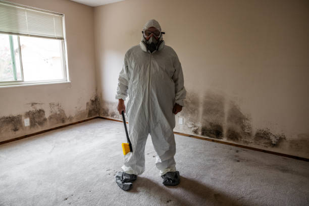 Best HVAC Mold Remediation in Candlewick Lake, IL